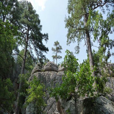 Robbers Cave Package Tour